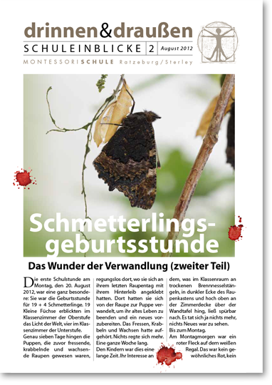 Schmetterlingsgeburtsstunde - Das Wunder der Wandlung (zweiter Teil)