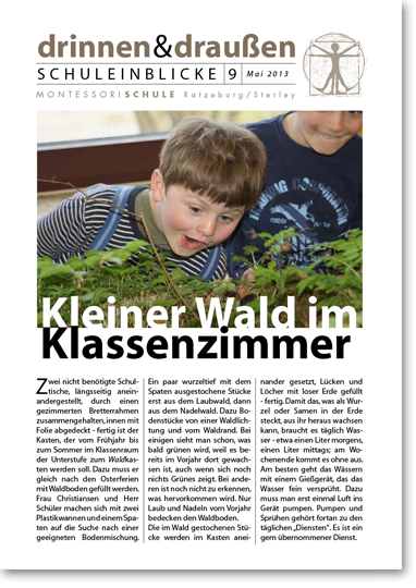 Kleiner Wald im Klassenzimmer