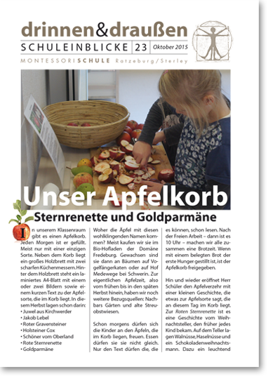 Unser Apfelkorb Sternrenette und Goldparmäne